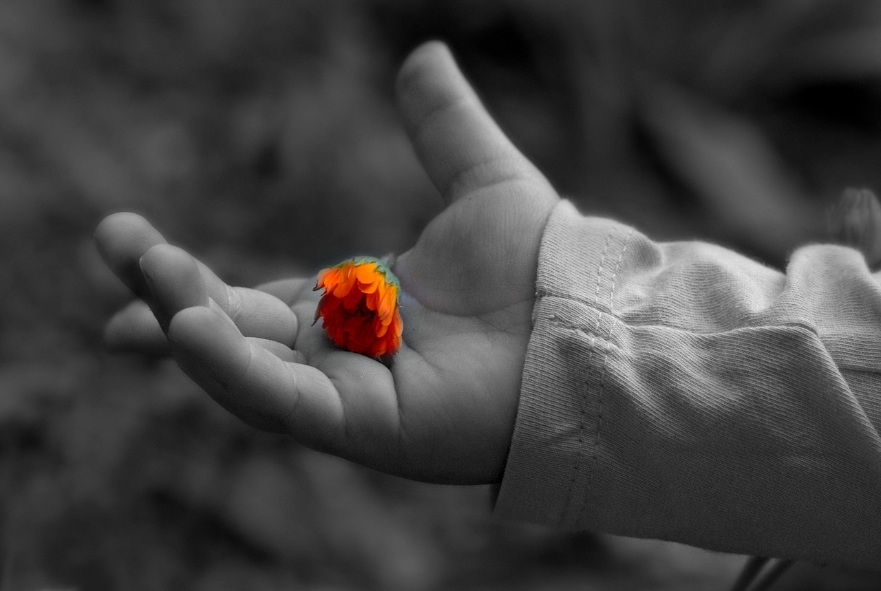 The Freedom of Vulnerability