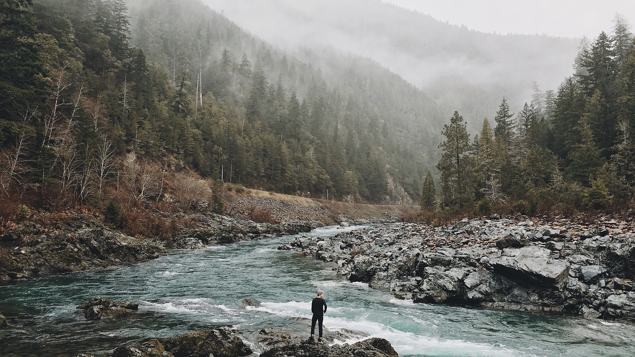 The Pace of Nature